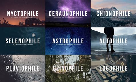 phile list and definitions.